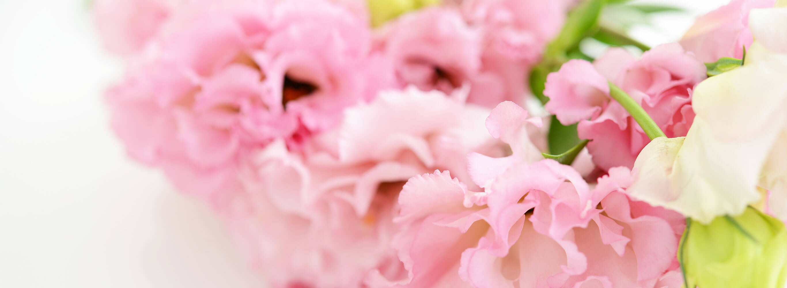 私たちについて