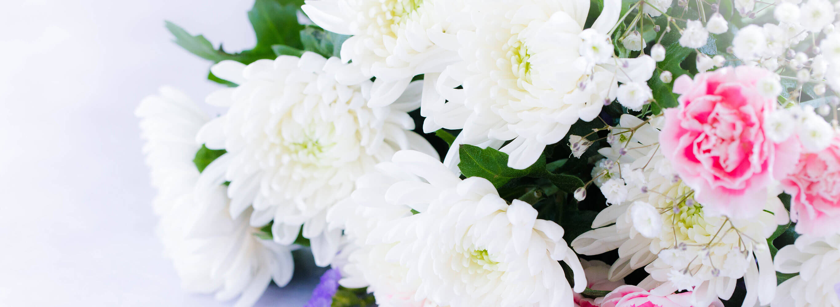 プライバシーポリシー